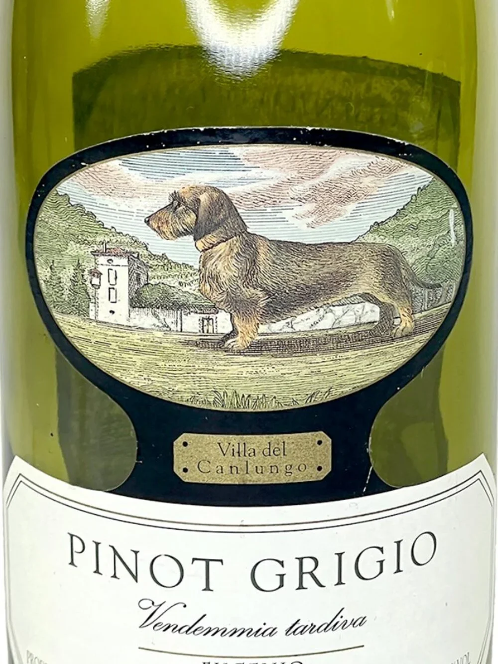 Eugenio Cavolini empty wine
